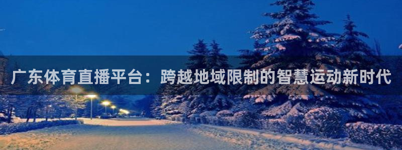 9255tv直播nba在线直播：广东体育直播平台：跨越地域限制的智慧运动新时代