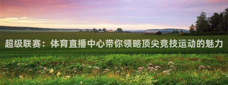 9255tv直播无插件nba：超级联赛：体育直播中心带你领略顶尖竞技运动的魅力