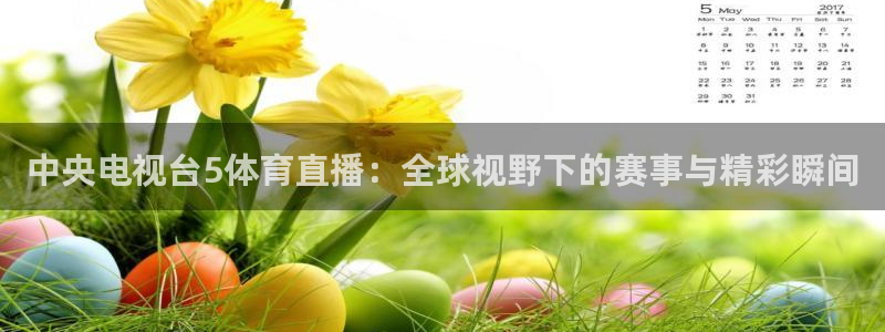 9255tv直播nba在线直播：中央电视台5体育直播：全球视野下的赛事与精彩瞬间