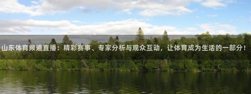 9255tv直播无插件nba：山东体育频道直播：精彩赛事、专家分析与观众互动，让体育成为生活的一部分！