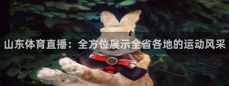 9255tv直播无插件nba：山东体育直播：全方位展示全省各地的运动风采