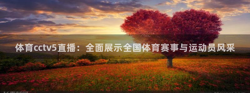 9255tv直播无插件nba：体育cctv5直播：全面展示全国体育赛事与运动员风采
