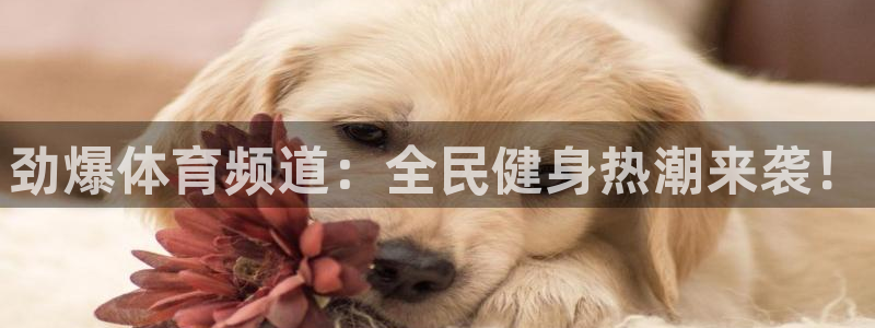 9255tv直播nba在线观看：劲爆体育频道：全民健身热潮来袭！