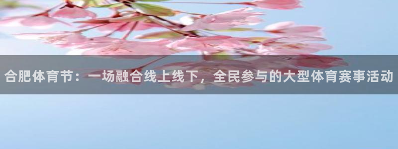 9255tv直播无插件nba：合肥体育节：一场融合线上线下，全民参与的大型体育赛事活动
