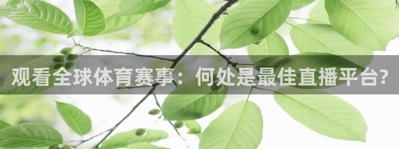 9255tv直播无插件nba：观看全球体育赛事：何处是最佳直播平台?